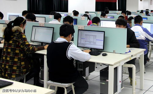 計算機技術開發 理科男生的黃金賽道，就業率高前景廣闊